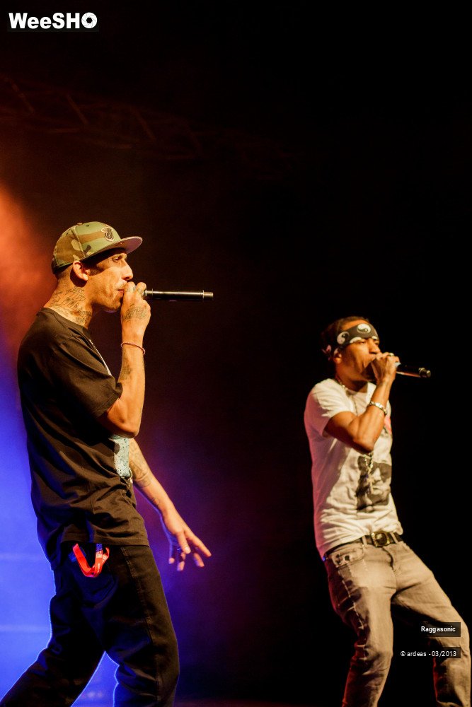45/49 photos du spectacle Raggasonic