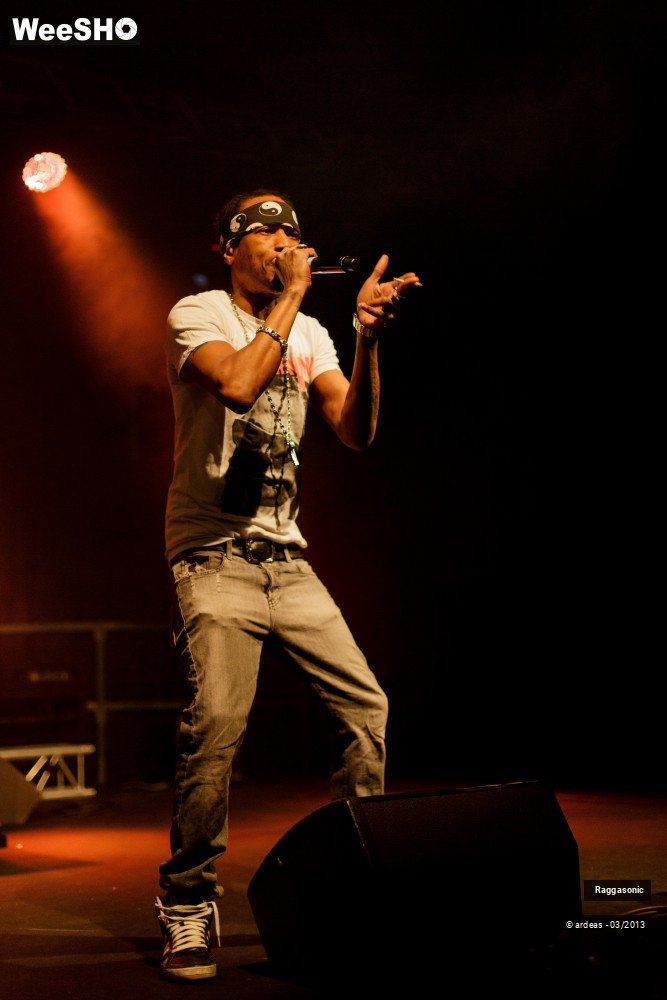 46/49 photos du spectacle Raggasonic