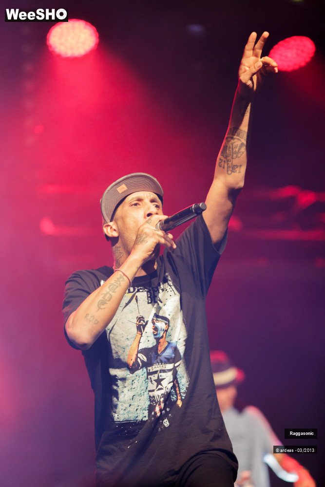 47/49 photos du spectacle Raggasonic