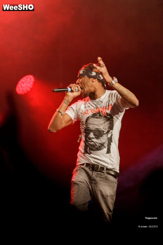 48/49 photos du spectacle Raggasonic