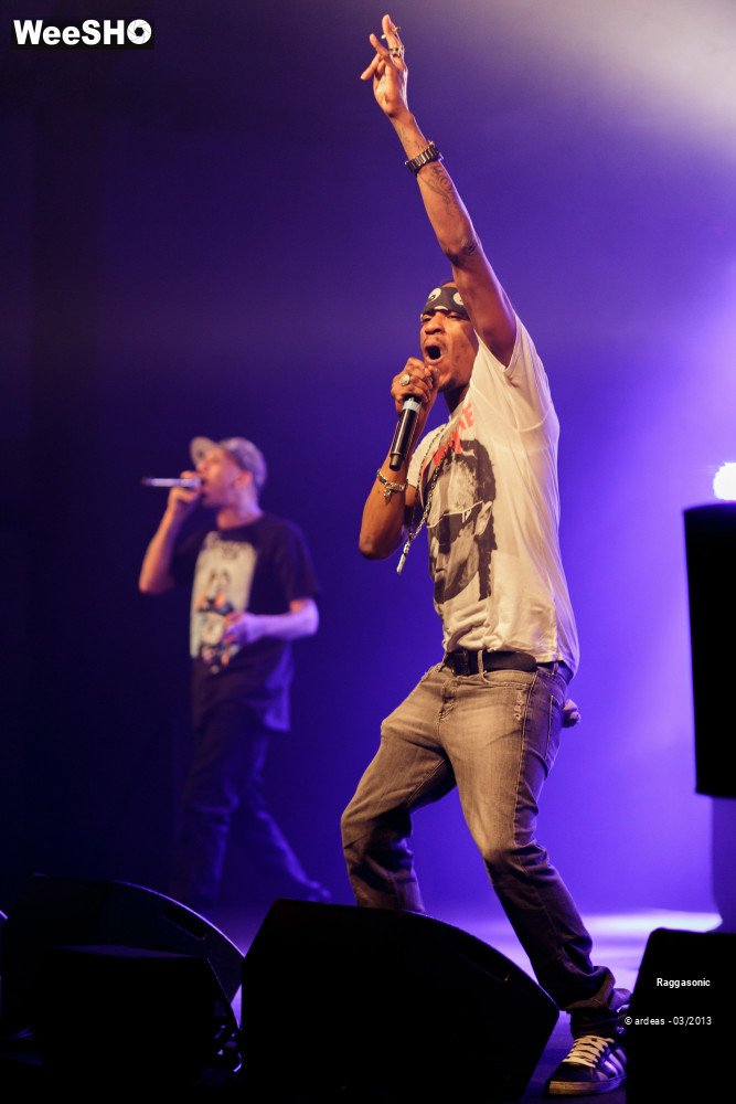 49/49 photos du spectacle Raggasonic