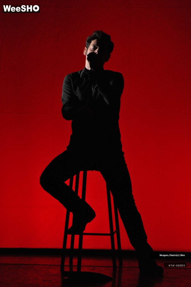 29/33 photos du spectacle Nougaro, Electro(n) libre