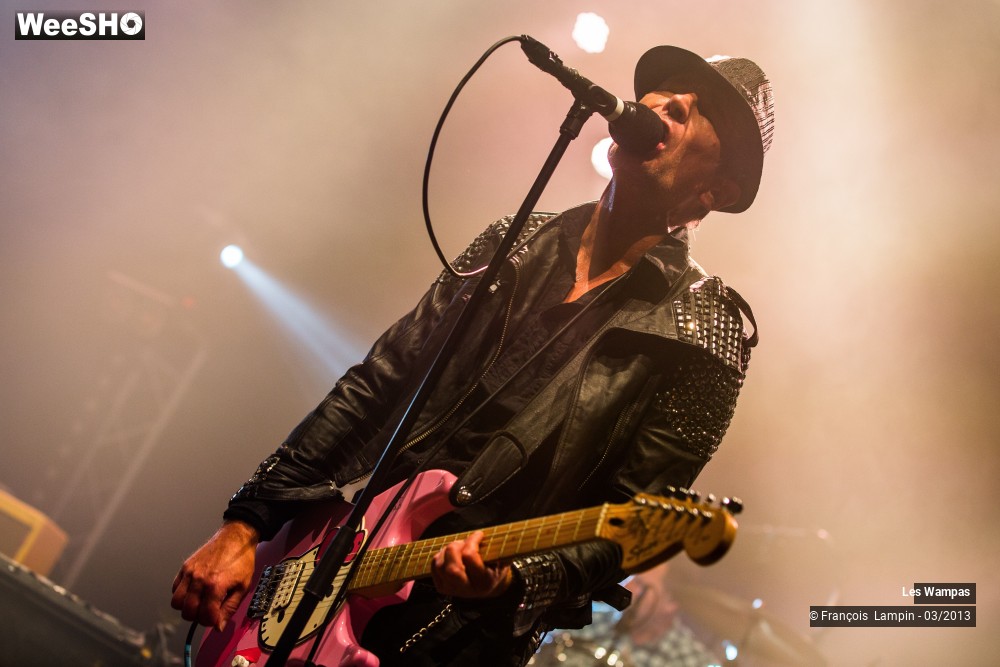 33/50 photos du spectacle Les Wampas