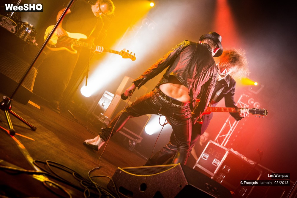 41/50 photos du spectacle Les Wampas