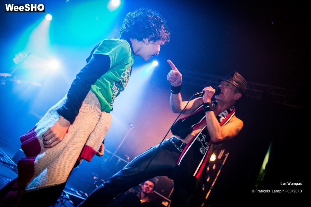 46/50 photos du spectacle Les Wampas