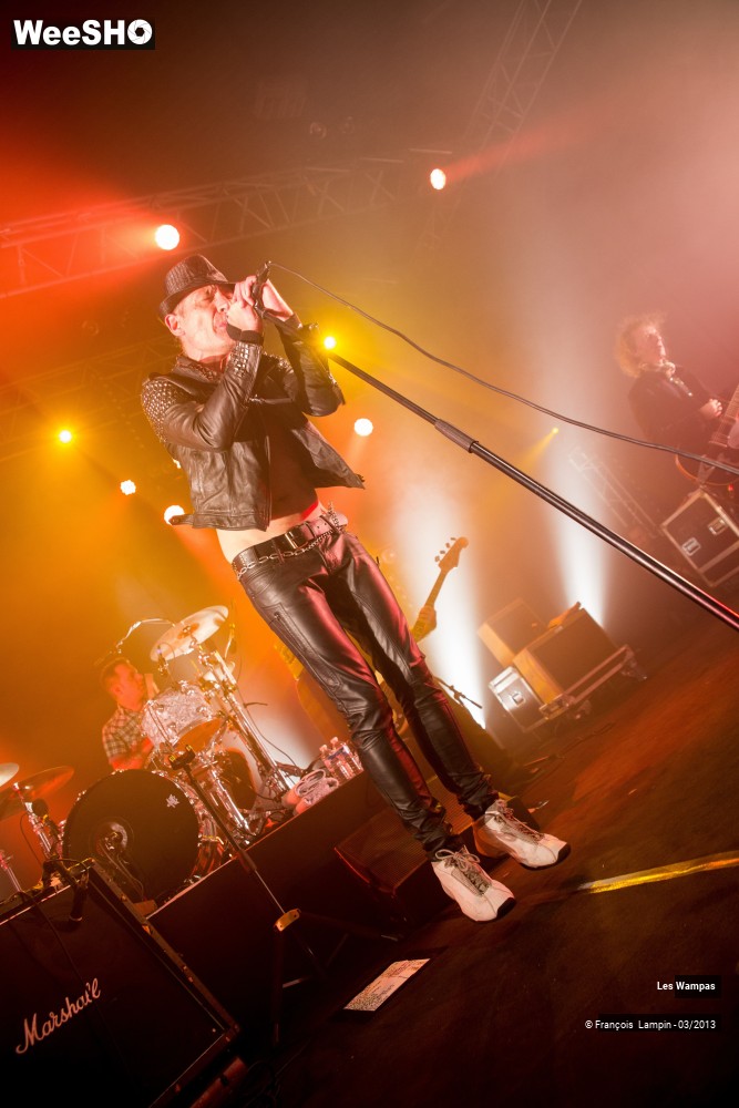 47/50 photos du spectacle Les Wampas