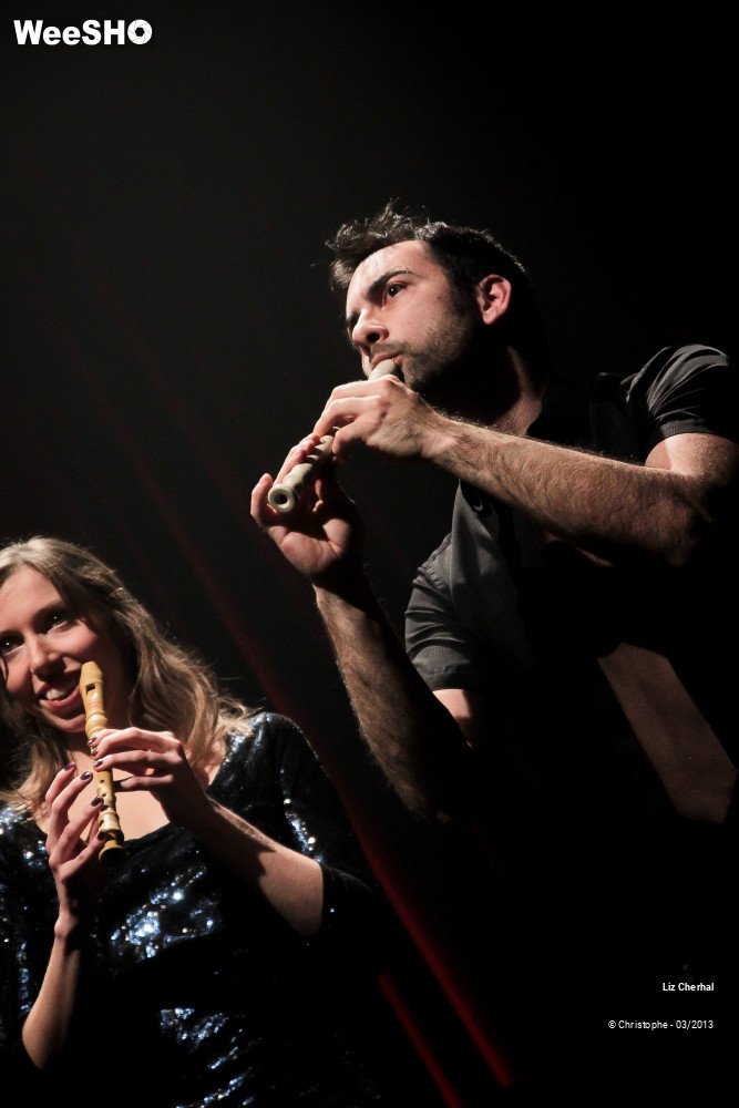 33/41 photos du spectacle Liz Cherhal
