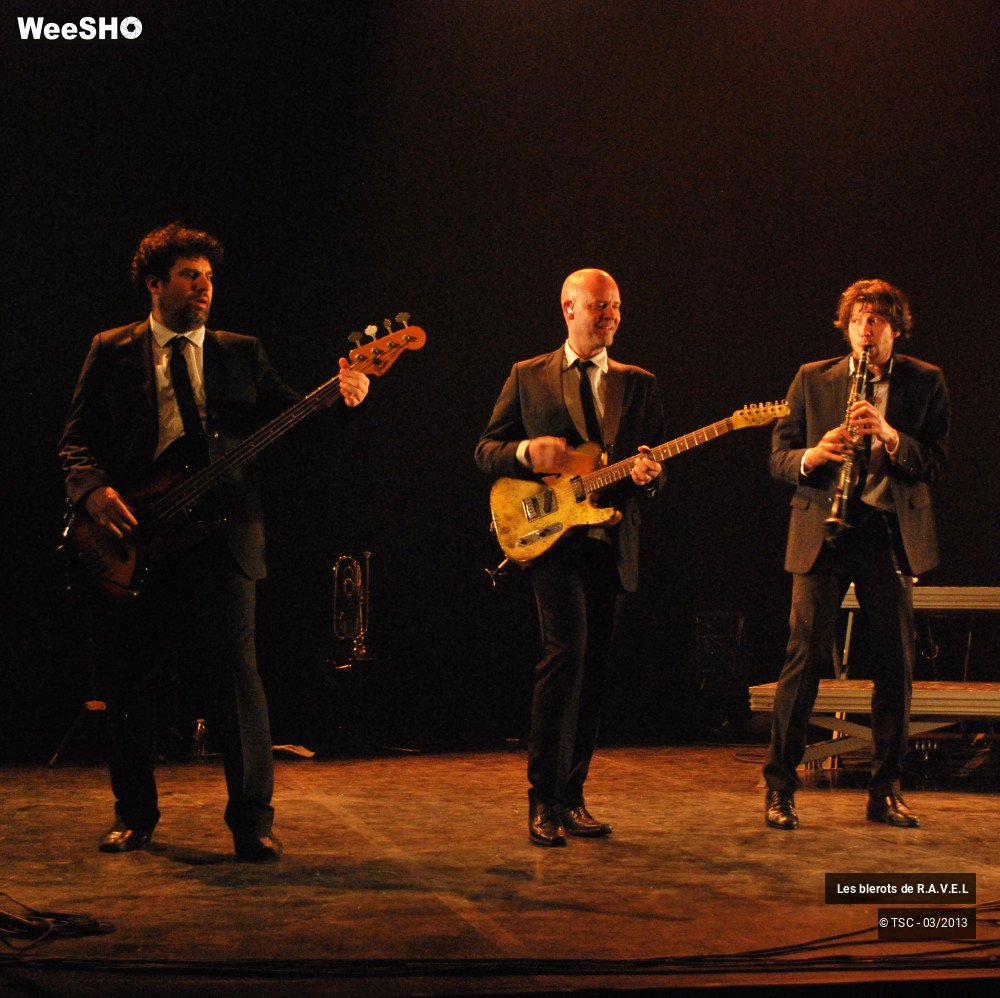 17/36 photos du spectacle Les Blerots de ravel