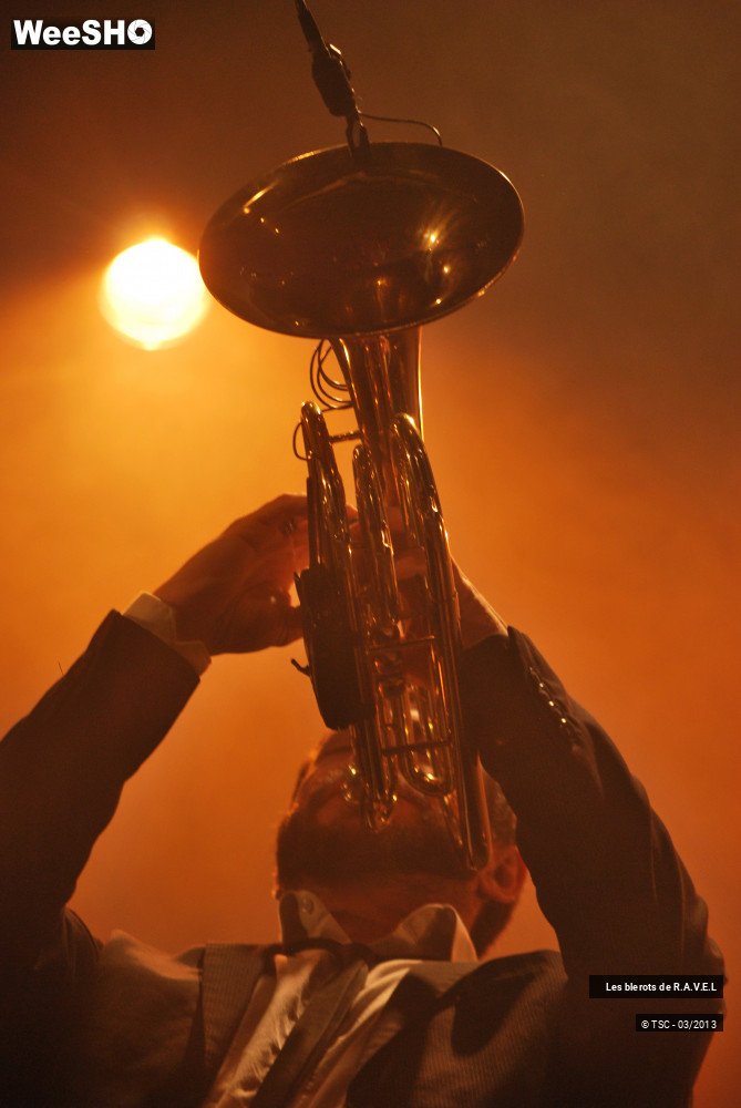 30/36 photos du spectacle Les Blerots de ravel