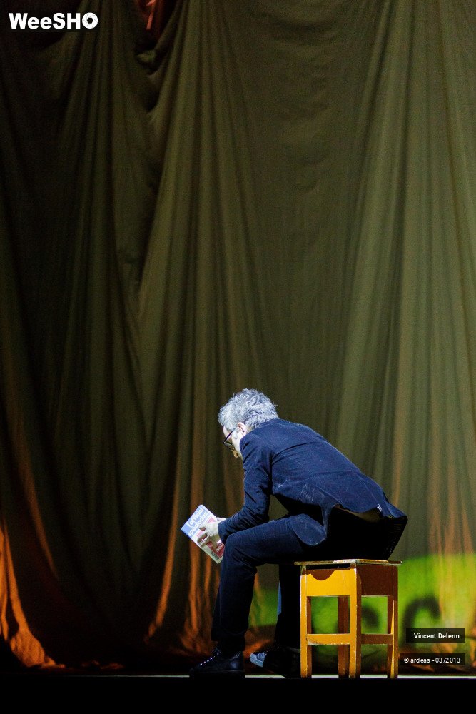 14/19 photos du spectacle Vincent Delerm