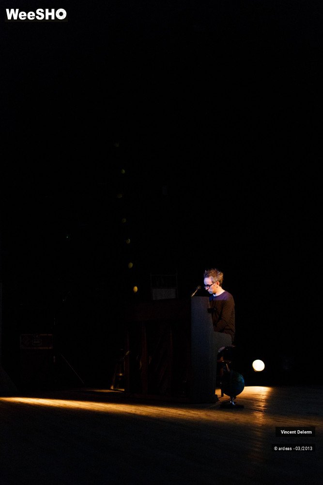 15/19 photos du spectacle Vincent Delerm