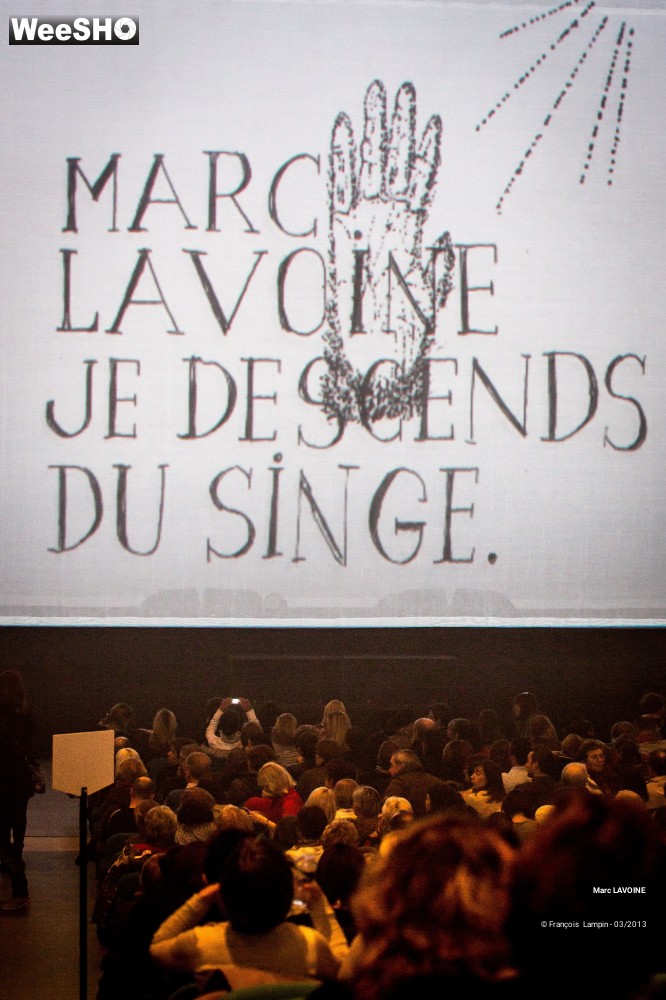 22/26 photos du spectacle Marc Lavoine