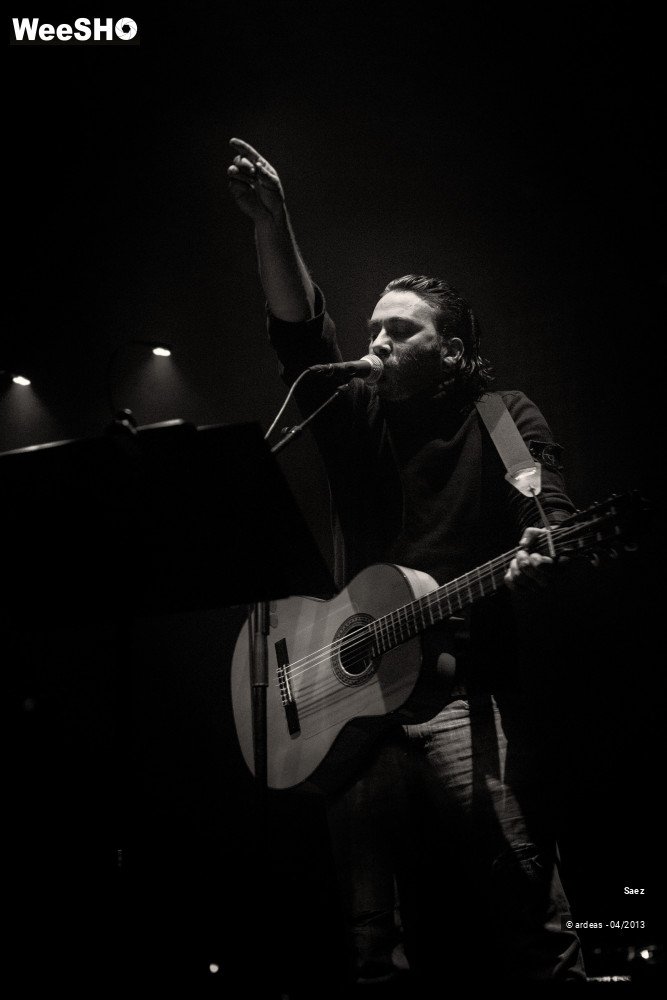 10/17 photos du spectacle Damien Saez