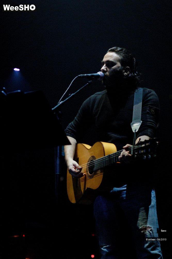 15/17 photos du spectacle Damien Saez