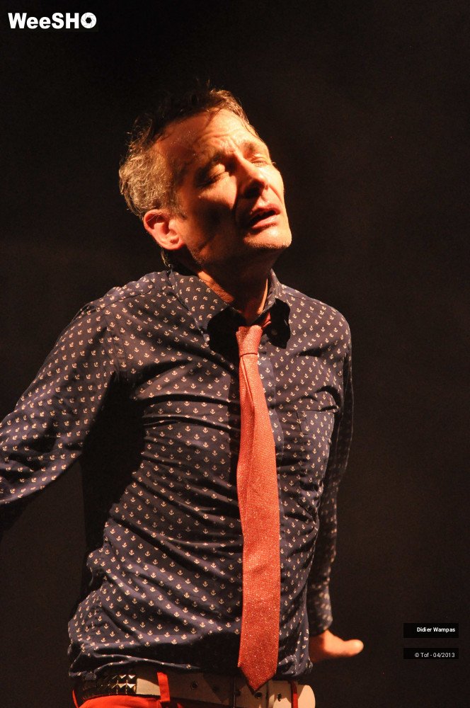 21/46 photos du spectacle Didier Wampas