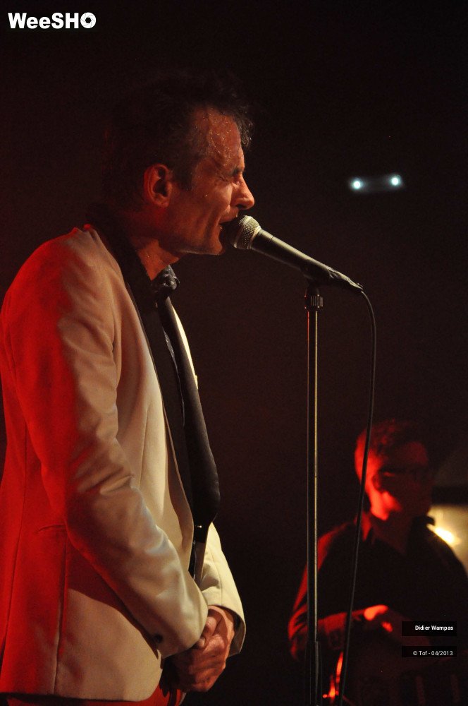 27/46 photos du spectacle Didier Wampas