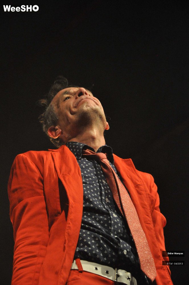 31/46 photos du spectacle Didier Wampas