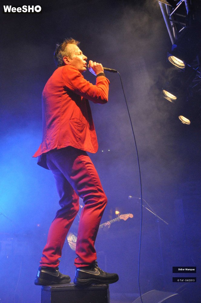 39/46 photos du spectacle Didier Wampas