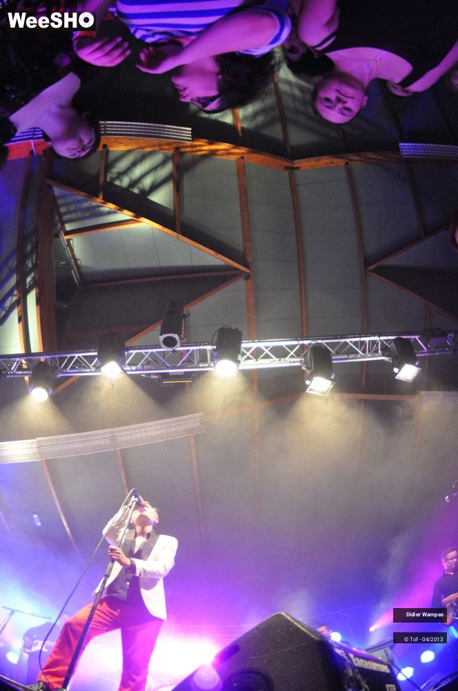 40/46 photos du spectacle Didier Wampas