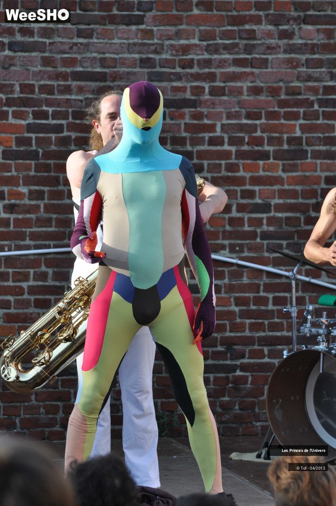 26/45 photos du spectacle Les Princes de l'Univers