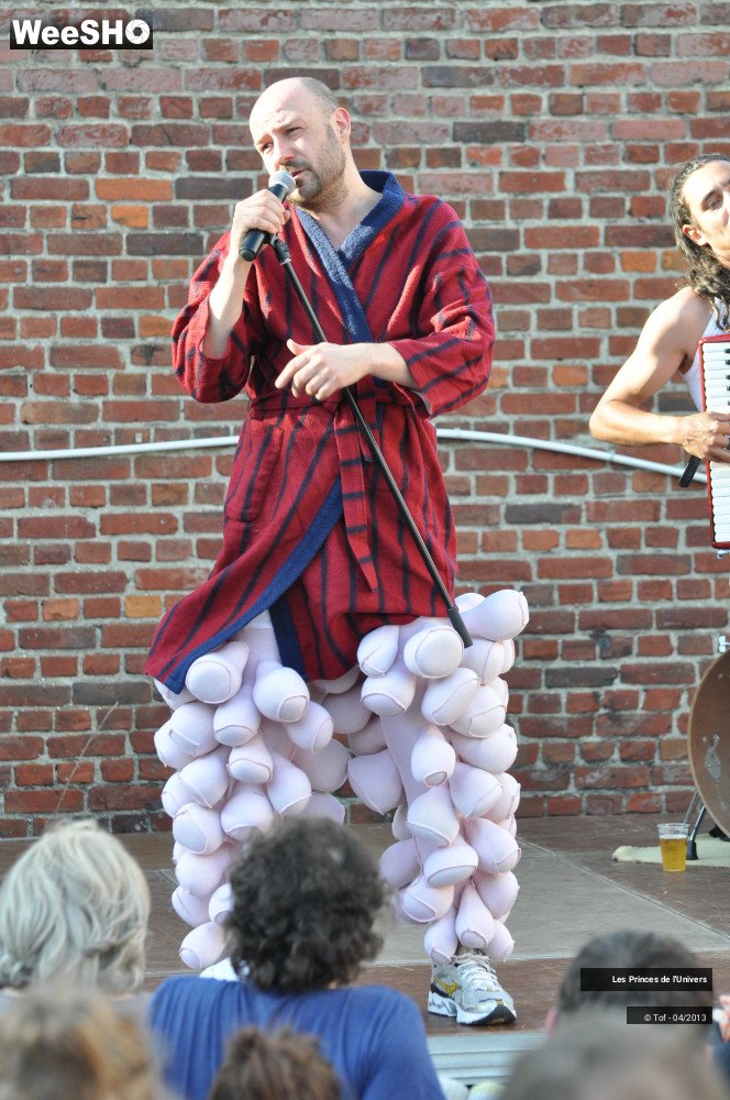 36/45 photos du spectacle Les Princes de l'Univers