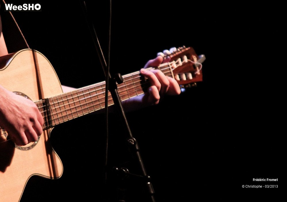 12/34 photos du spectacle Frederic Fromet