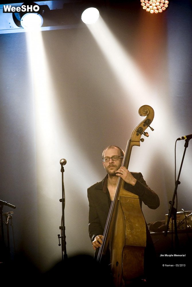 20/36 photos du spectacle Jim Murple Memorial
