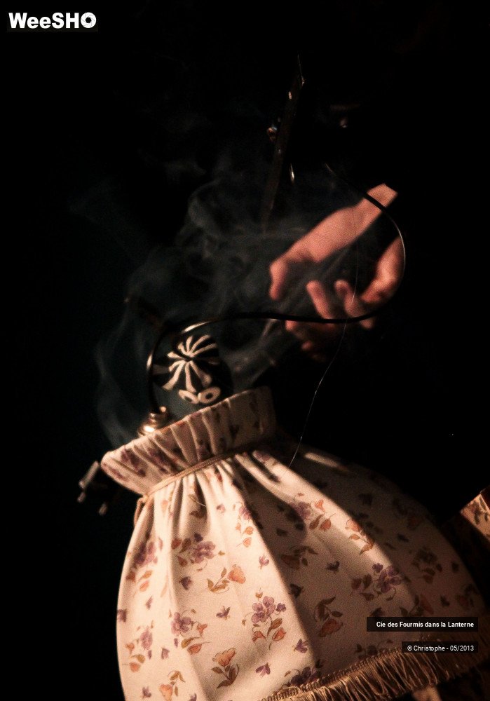 16/30 photos du spectacle Monsieur Watt