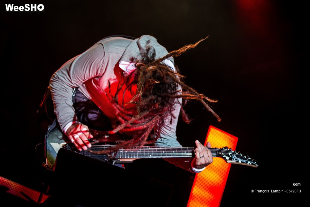 22/35 photos du spectacle Korn
