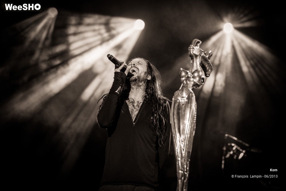 35/35 photos du spectacle Korn