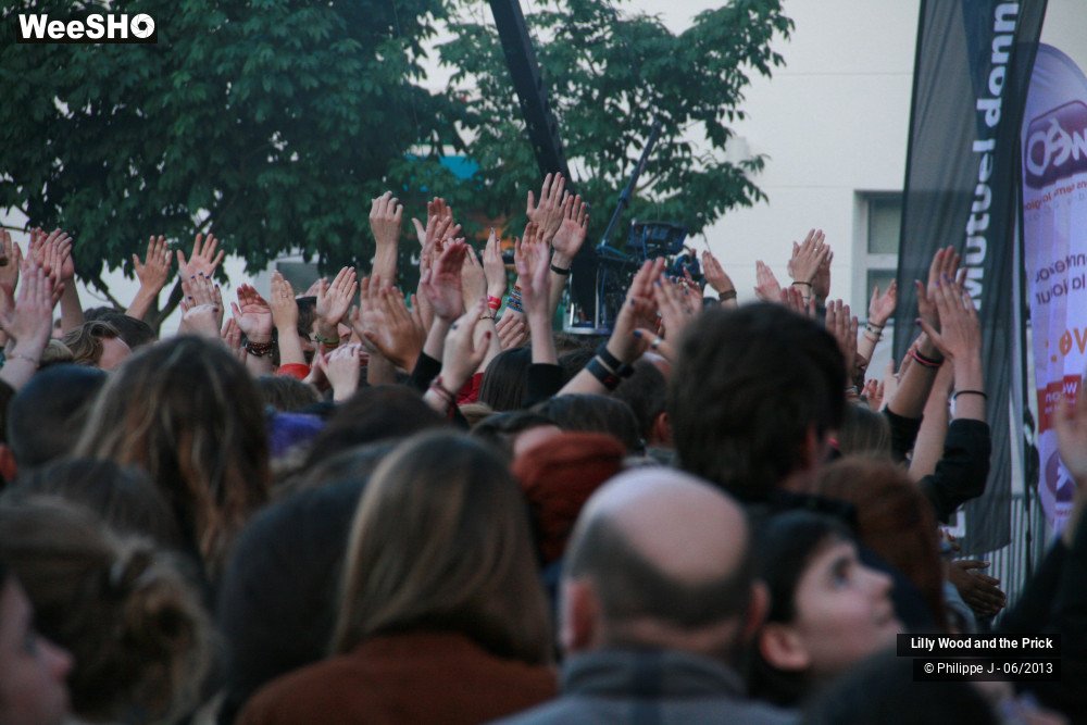 3/40 photos du spectacle Lilly Wood and the Prick