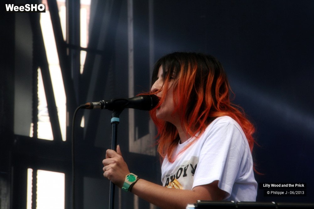 15/40 photos du spectacle Lilly Wood and the Prick