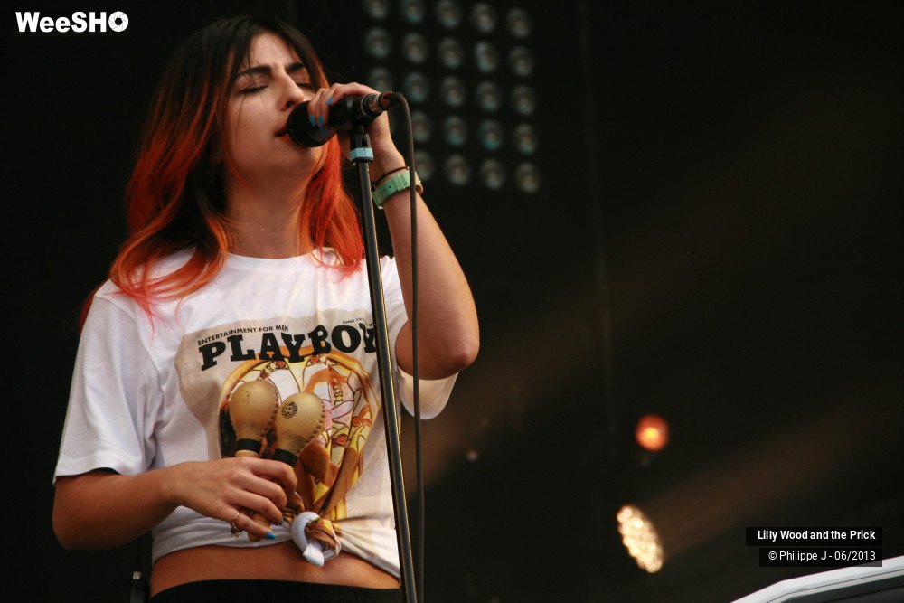 24/40 photos du spectacle Lilly Wood and the Prick