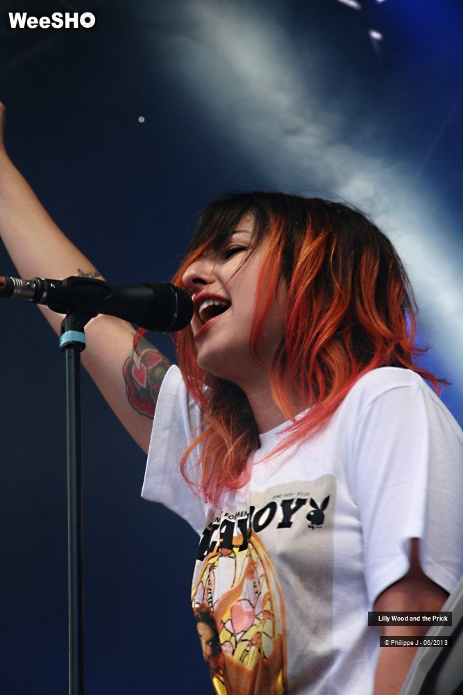 34/40 photos du spectacle Lilly Wood and the Prick