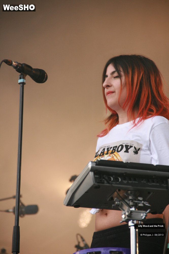 36/40 photos du spectacle Lilly Wood and the Prick