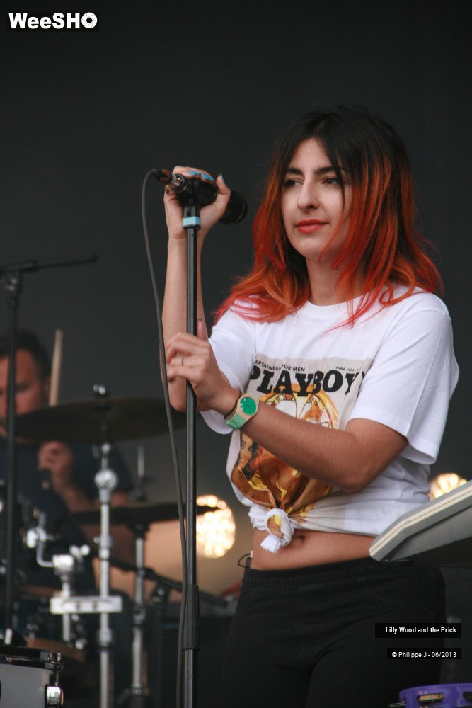 38/40 photos du spectacle Lilly Wood and the Prick