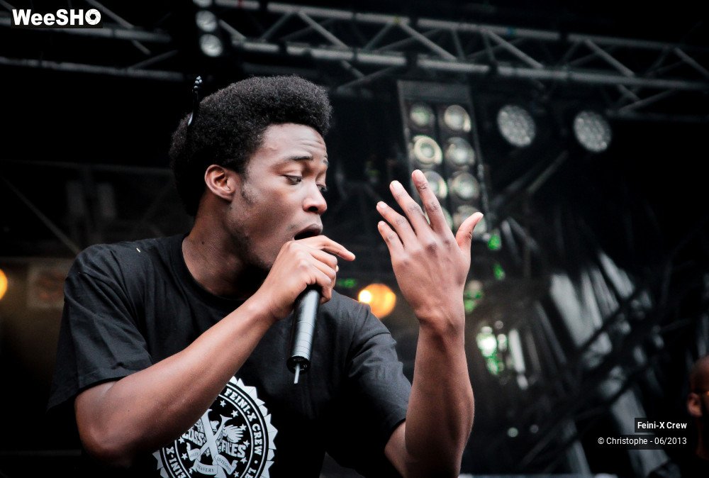 17/50 photos du spectacle Feini'x crew