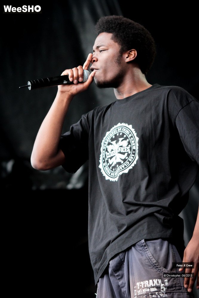 44/50 photos du spectacle Feini'x crew