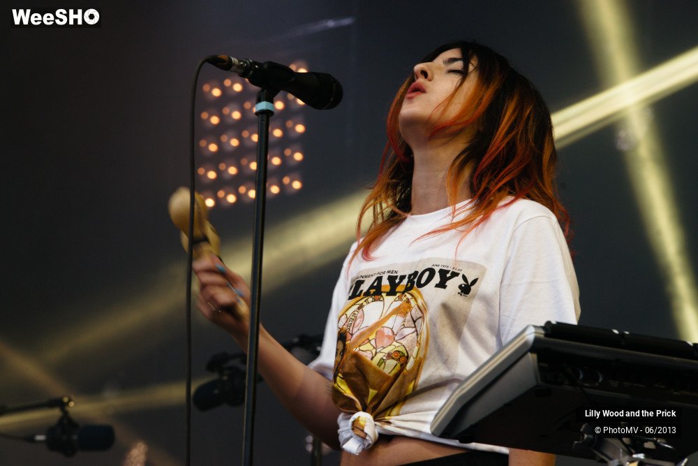 9/48 photos du spectacle Lilly wood and the prick