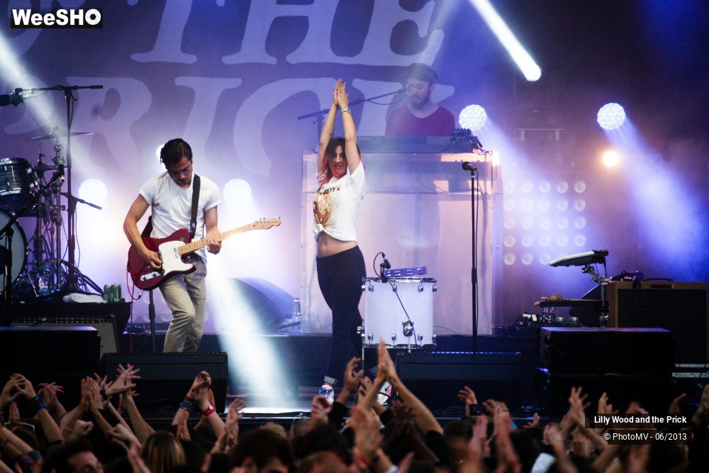 11/48 photos du spectacle Lilly wood and the prick