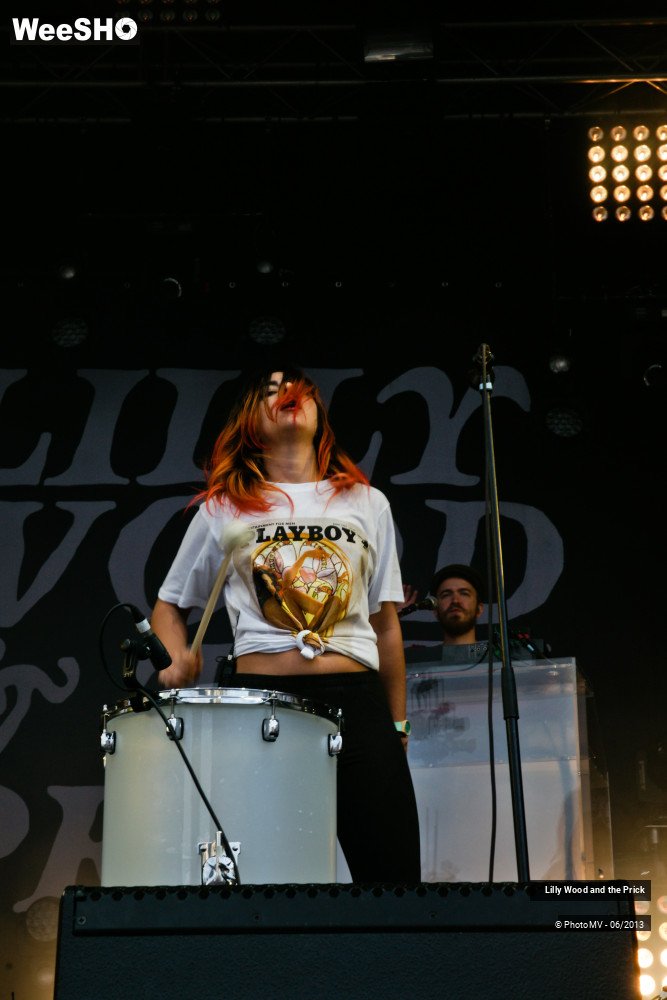 26/48 photos du spectacle Lilly wood and the prick