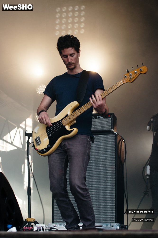 27/48 photos du spectacle Lilly wood and the prick