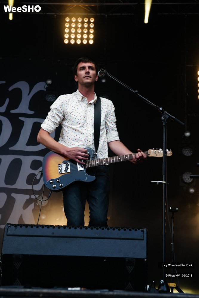 28/48 photos du spectacle Lilly wood and the prick