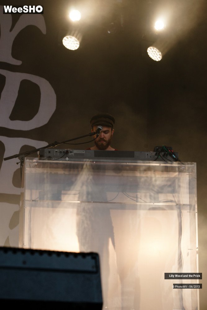 29/48 photos du spectacle Lilly wood and the prick