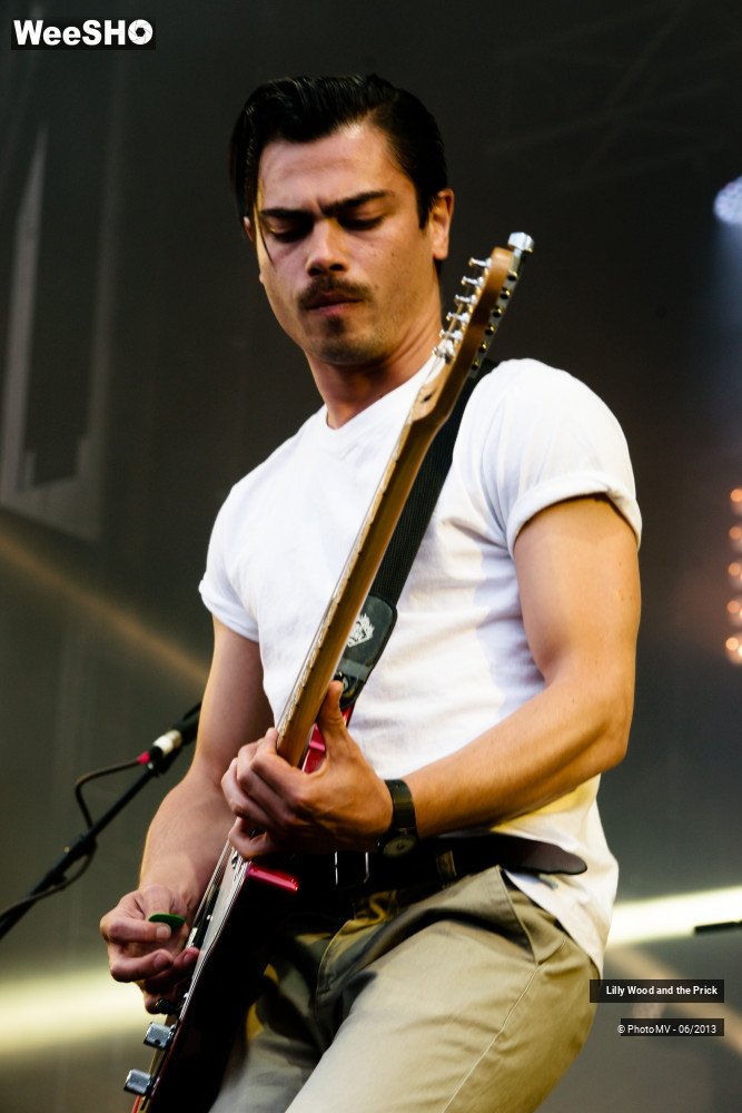 30/48 photos du spectacle Lilly wood and the prick