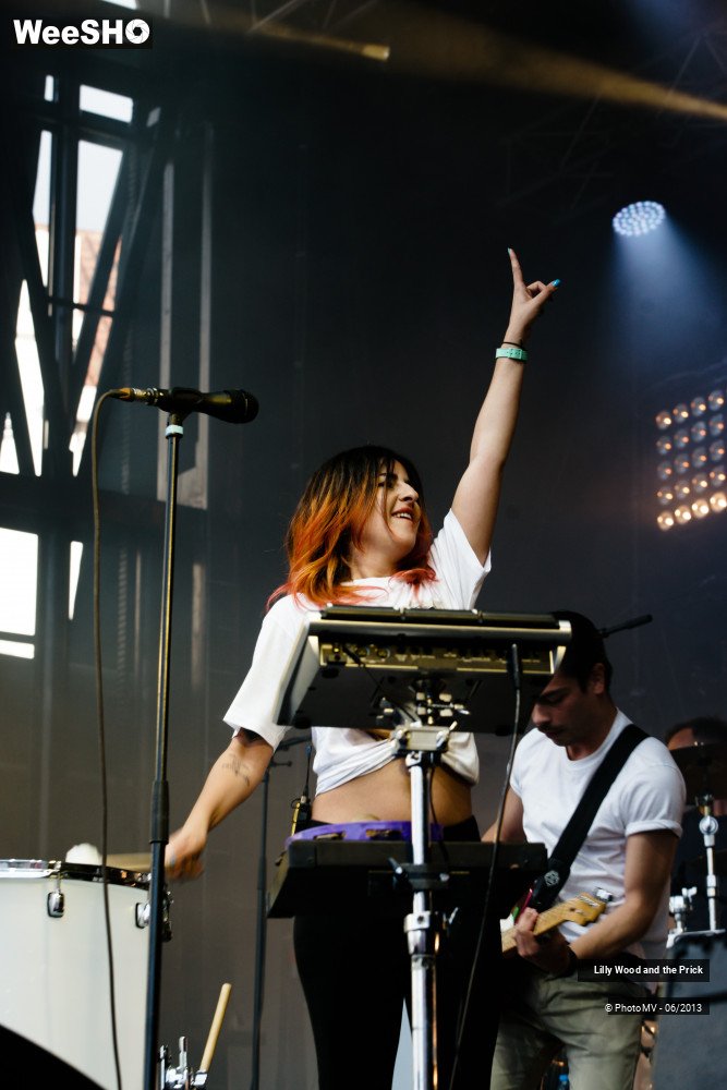 31/48 photos du spectacle Lilly wood and the prick