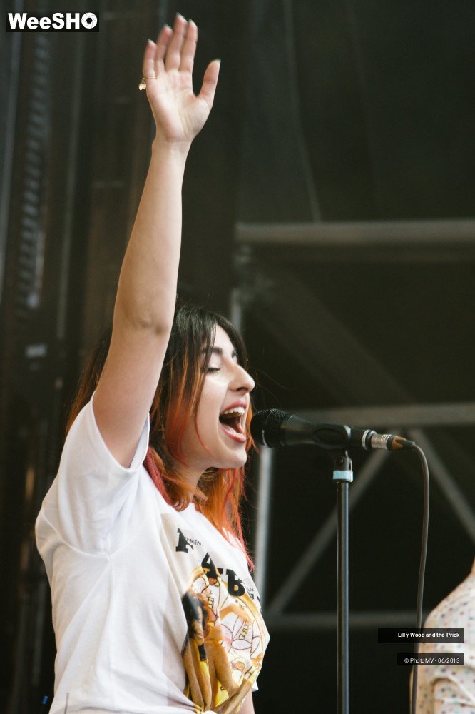 32/48 photos du spectacle Lilly wood and the prick