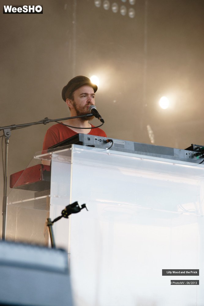 34/48 photos du spectacle Lilly wood and the prick