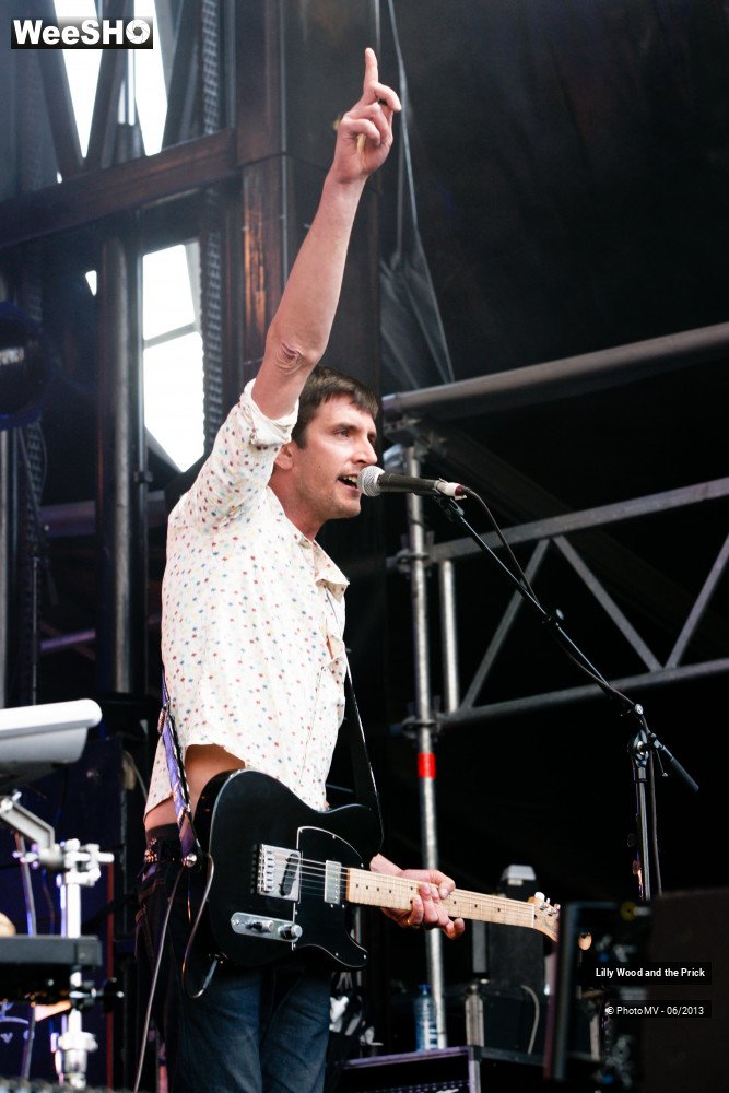 35/48 photos du spectacle Lilly wood and the prick