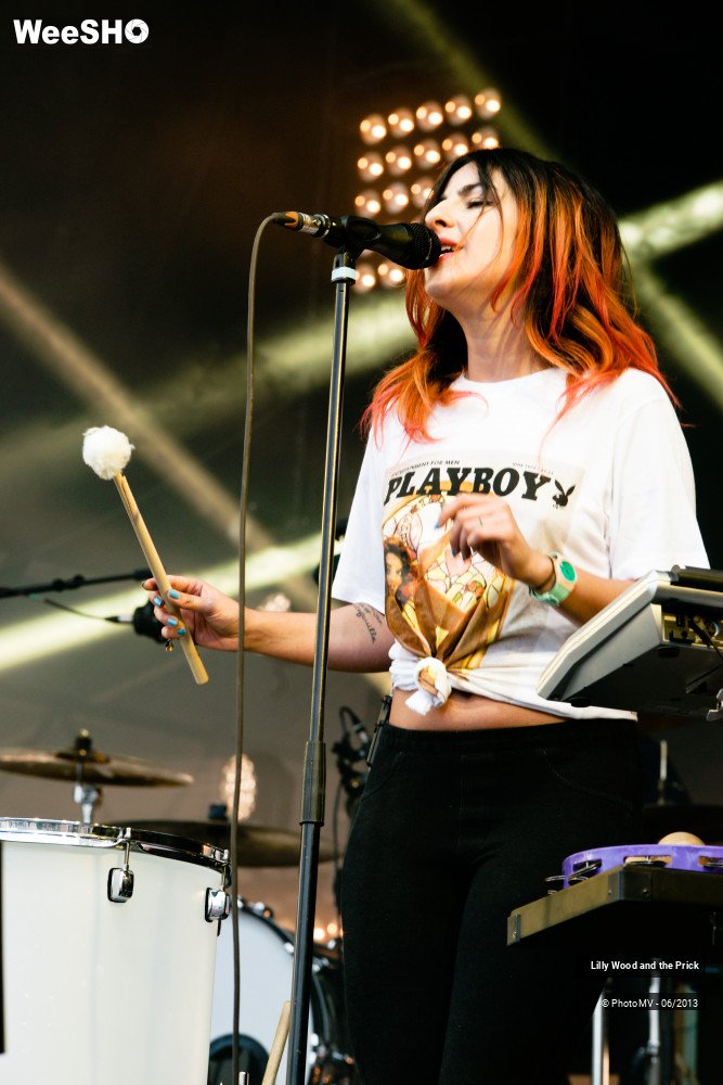 36/48 photos du spectacle Lilly wood and the prick